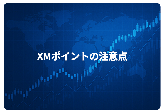XMポイントの注意点