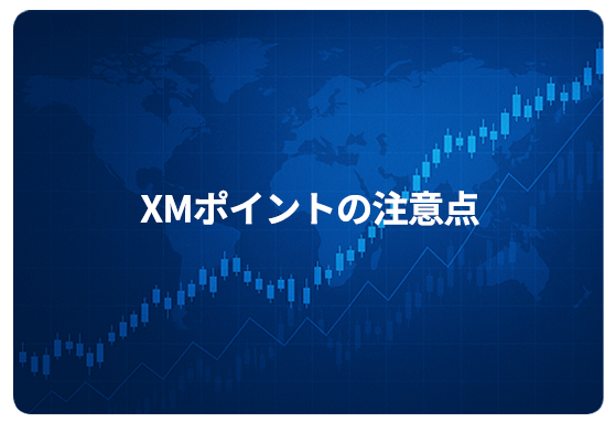 XMポイントの注意点