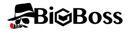 bigboss logo